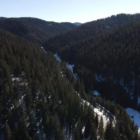 комплекс божидарица Pensiune Progled