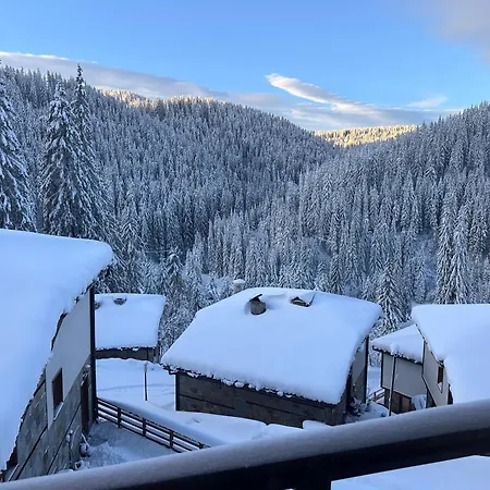 комплекс божидарица * Progled