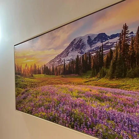 комплекс божидарица * Progled