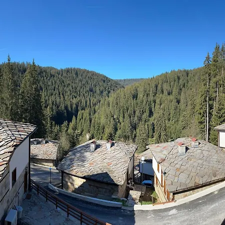 комплекс божидарица