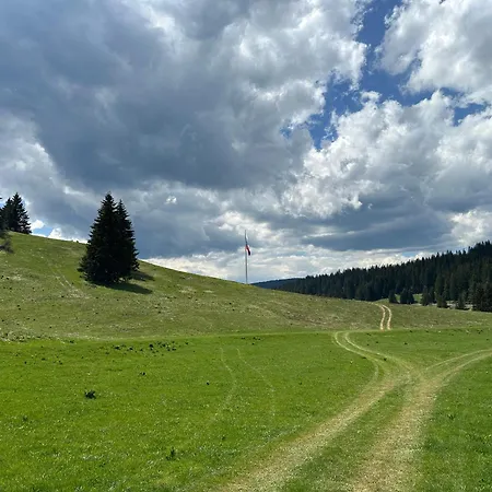 комплекс божидарица * Progled