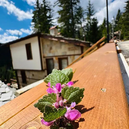 комплекс божидарица