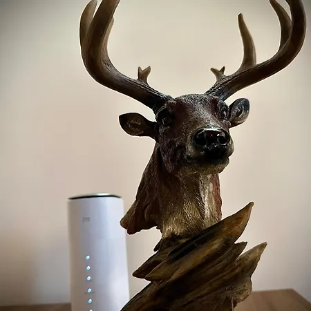 Pensiune комплекс божидарица