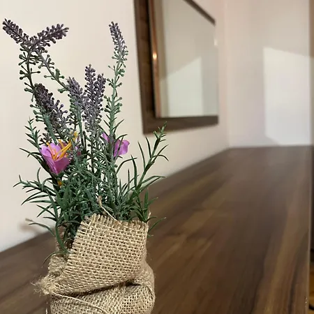 комплекс божидарица Affittacamere *