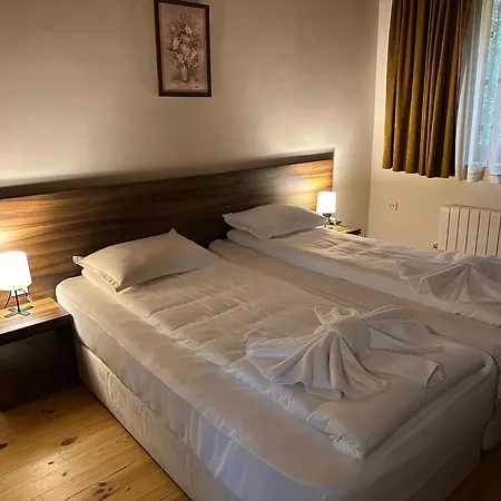 комплекс божидарица Pensiune *