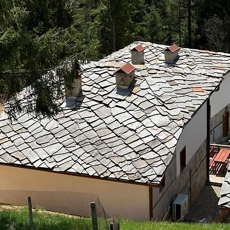 комплекс божидарица * Progled