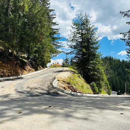 комплекс божидарица *