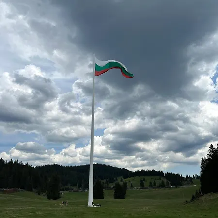 招待所 комплекс божидарица *