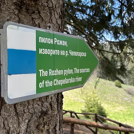 Affittacamere комплекс божидарица