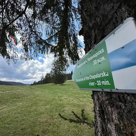 Affittacamere комплекс божидарица *