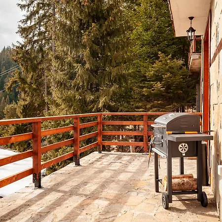 комплекс божидарица *