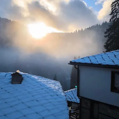 комплекс божидарица