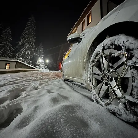 комплекс божидарица *