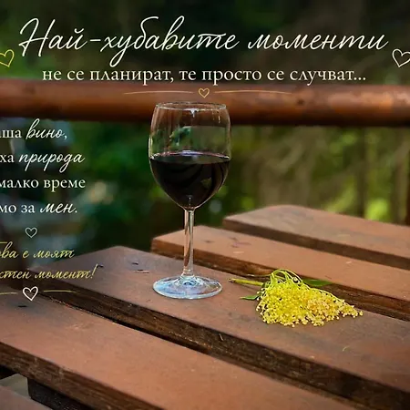 Vendégház комплекс божидарица
