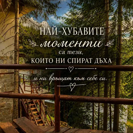 комплекс божидарица Progled