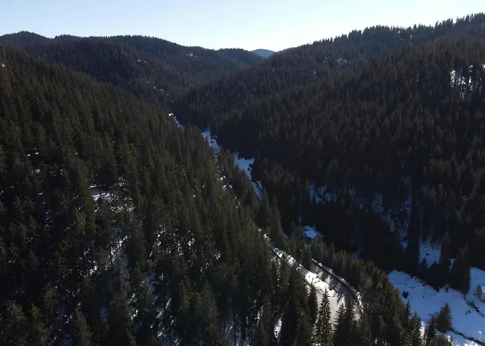 комплекс божидарица Pensjonat Progled