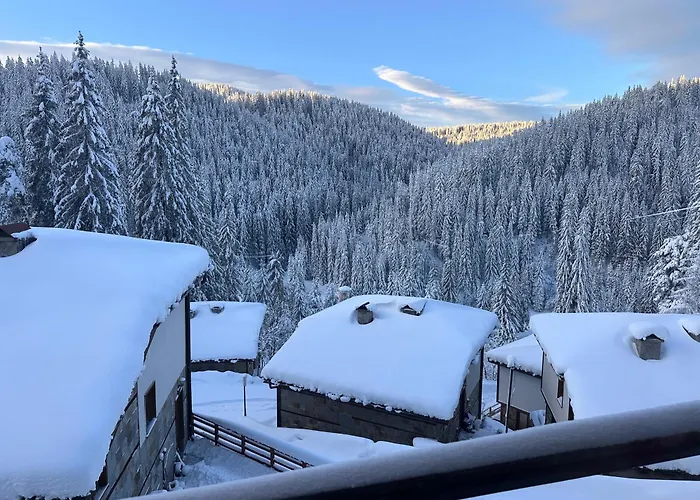 комплекс божидарица * Progled