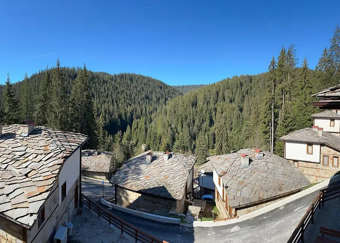 комплекс божидарица