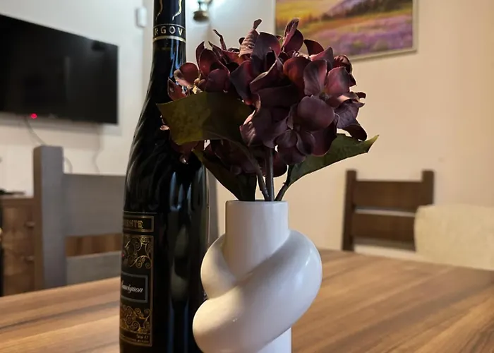 招待所 комплекс божидарица Progled