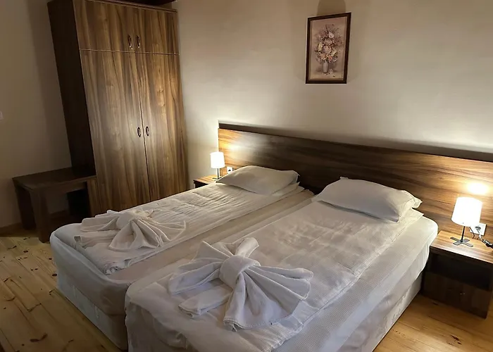 招待所 комплекс божидарица *