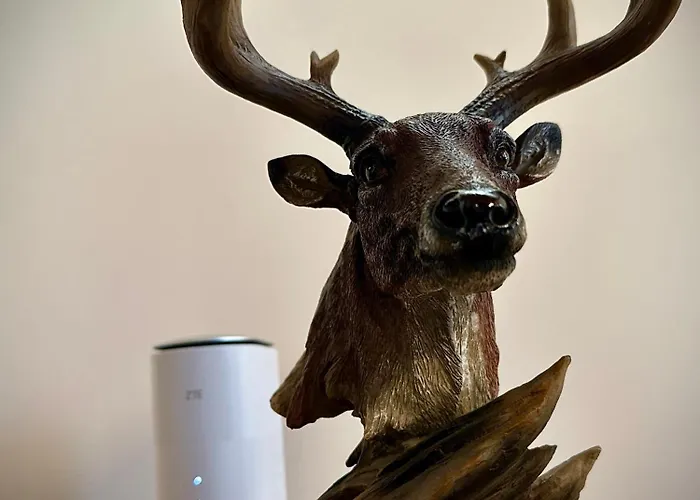 Pensjonat комплекс божидарица