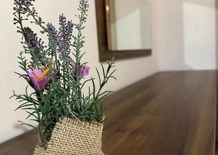 комплекс божидарица Pensjonat *