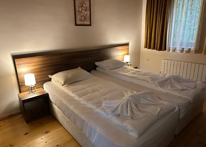 комплекс божидарица 招待所 *