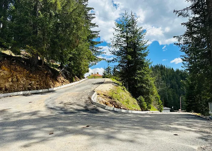 комплекс божидарица *