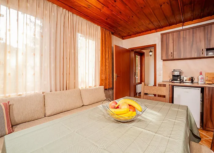 Pensjonat комплекс божидарица *