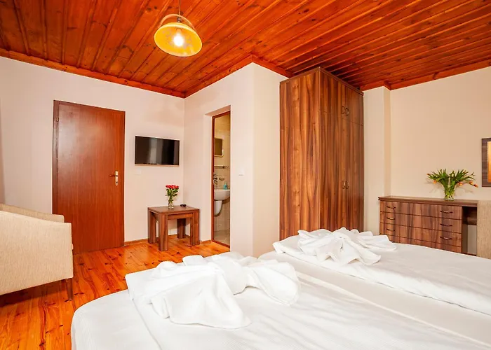 комплекс божидарица Pensjonat *