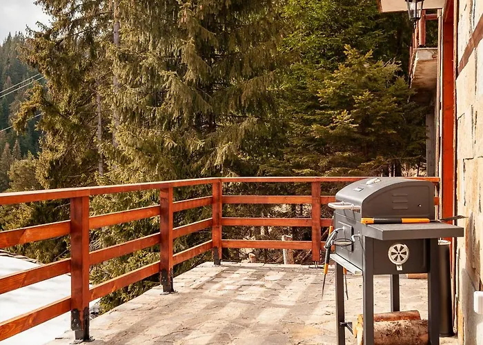 комплекс божидарица *