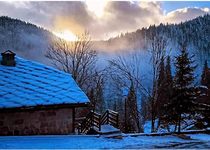 Pensjonat комплекс божидарица *