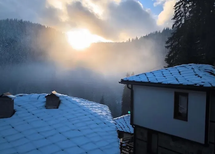 комплекс божидарица