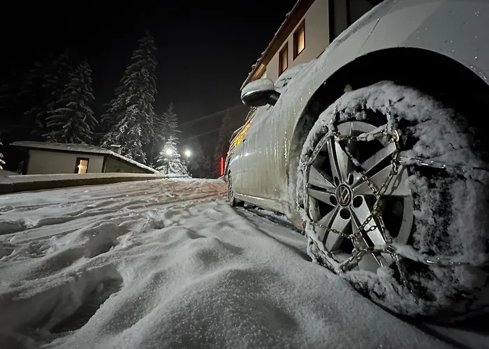 комплекс божидарица *